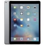 Apple iPad Pro 256GB Space Gray фото 1