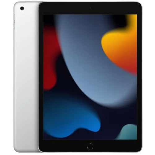 Apple iPad 10.2" 2021 256GB 5G MK4H3 (серебристый)