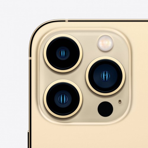 Apple iPhone 13 Pro Max 1TB (золотой) фото 3
