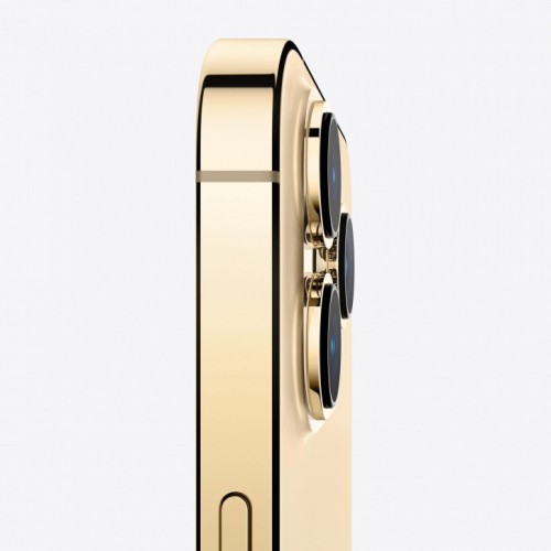 Apple iPhone 13 Pro Max 1TB (золотой) фото 4