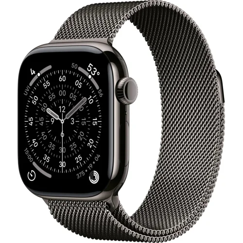 Apple Watch Series 11 LTE 42 мм (титановый корпус, сланец/сланец, миланская петля)