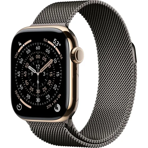 Apple Watch Series 11 LTE 42 мм (титановый корпус, золотистый/сланец, миланская петля)