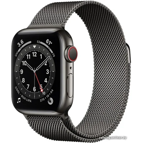 Apple Watch Series 6 LTE 40 мм (сталь графитовый/миланский черный)