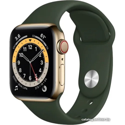 Apple Watch Series 6 LTE 40 мм (сталь золотистый/зеленый спортивный)