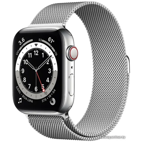 Apple Watch Series 6 LTE 44 мм (сталь серебристый/миланский серебро)