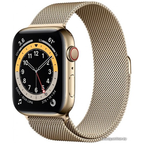 Apple Watch Series 6 LTE 44 мм (сталь золотистый/миланский золотой) фото 1