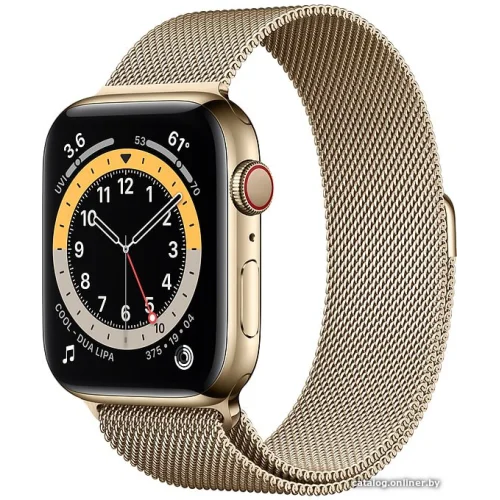 Apple Watch Series 6 LTE 44 мм (сталь золотистый/миланский золотой)