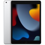 Apple iPad 10.2" 2021 256GB 5G MK4H3 (серебристый)