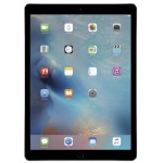 Apple iPad Pro 256GB LTE Space Gray фото 2
