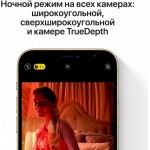 Apple iPhone 12 Pro Max 256GB (золотой) фото 4
