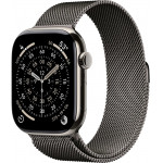 Apple Watch Series 11 LTE 46 мм (титановый корпус, природный/сланец, миланская петля) фото 1