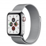 Apple Watch Series 5 LTE 40 мм (серебристый/миланский серебристый) фото 1