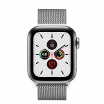 Apple Watch Series 5 LTE 40 мм (серебристый/миланский серебристый) фото 2